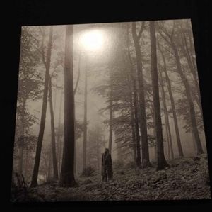 Taylor Swift folklore beige vinyl record